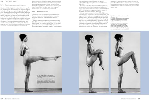 The Complete Guide to Anatomy for Artists & Illustrators: Drawing the Human Form - Retail Maharaj