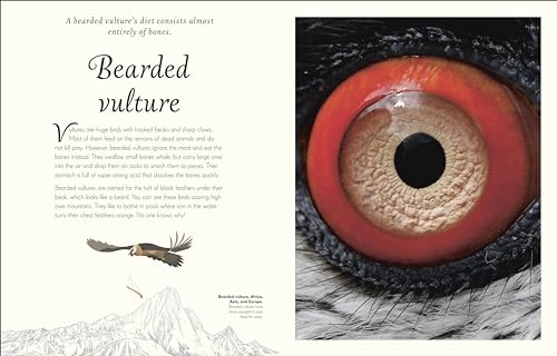 An Anthology of Exquisite Birds - Retail Maharaj