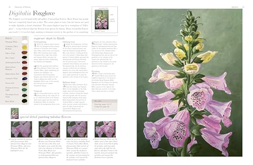 ACRYLIC FLOWER PAINTERS A TO Z - Retail Maharaj