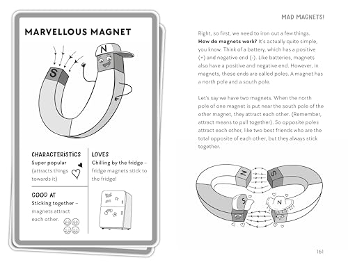 Awesome Electricity and Mad Magnets - Retail Maharaj