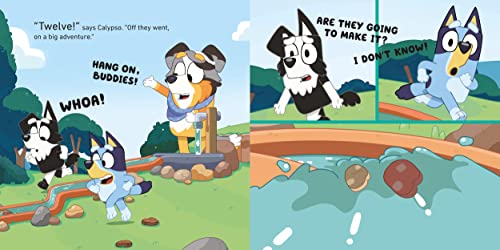 Bluey: Barky Boats - Retail Maharaj