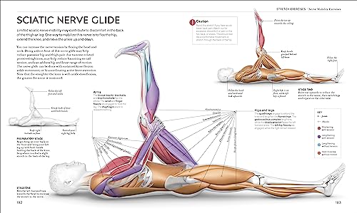 Science of Stretch: Reach Your Flexible Potential, Stay Active, Maximize Mobility - Retail Maharaj