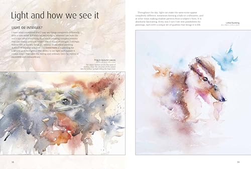 Colour & Light in Watercolour - Retail Maharaj