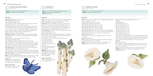 100 Flowers to Knit & Crochet: A Collection of Beautiful Blooms for Embellishing Clothes, Accessories, Cushions and Throws - Retail Maharaj