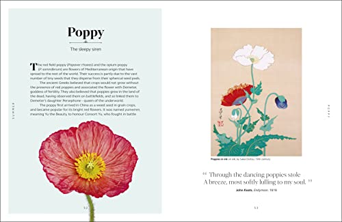 The Secret Language of Flowers - Retail Maharaj