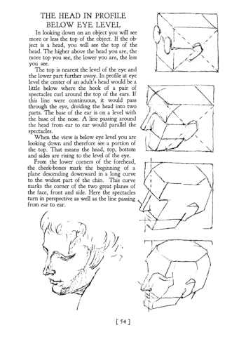 Heads, Features and Faces - Retail Maharaj