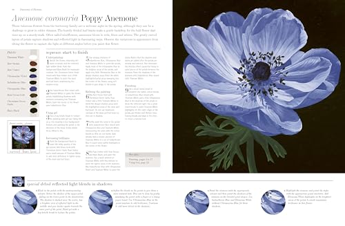 ACRYLIC FLOWER PAINTERS A TO Z - Retail Maharaj