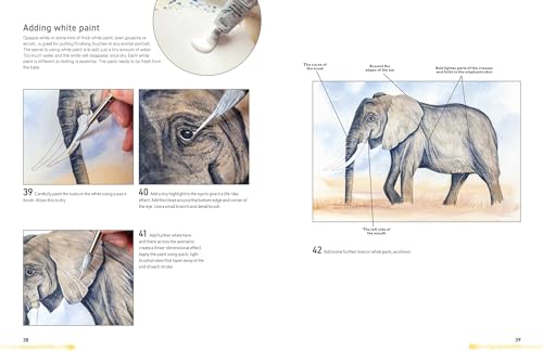 Watercolour Animals for the Absolute Beginner (ABSOLUTE BEGINNER ART) - Retail Maharaj