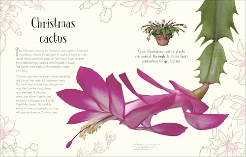 An Anthology of Christmas: The Festive Gift of the Season (DK Children's Anthologies) - Retail Maharaj