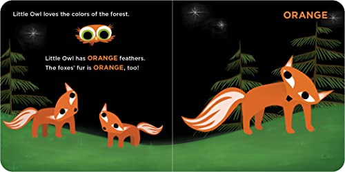 Little Owl's Colors - Retail Maharaj