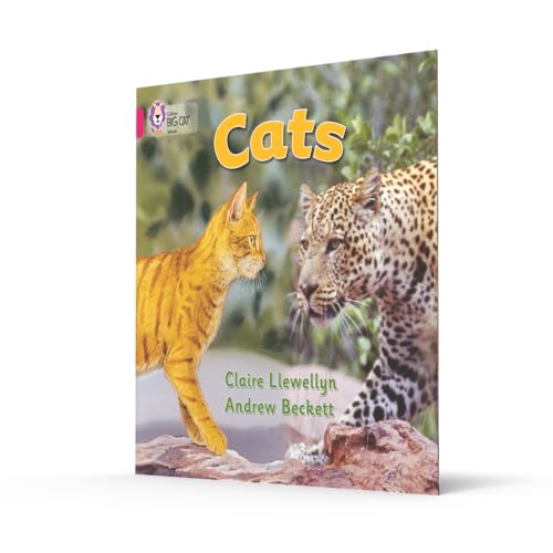 Cats: Band 01b/Pink B (Collins Big Cat) - Retail Maharaj
