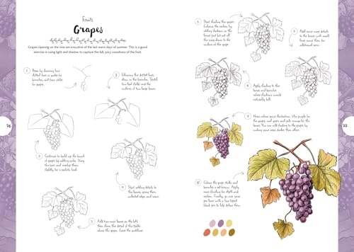 Botanicals: Draw over 50 Plants in 10 Easy Steps (10 Step Drawing) - Retail Maharaj