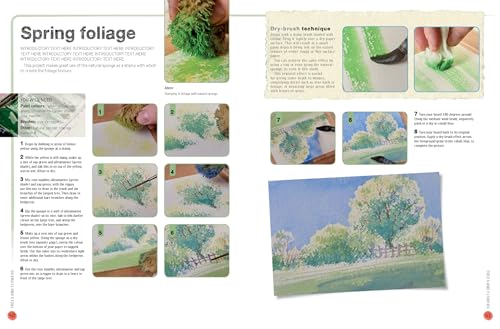 Ready to Paint in 30 Minutes: Landscapes in Watercolour: Landscapes in Watercolour, Tracings Included: 33 Step-by-Step Projects - Retail Maharaj