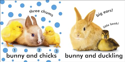 Baby Touch and Feel Bunny - Retail Maharaj