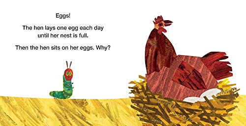 How Does an Egg Hatch?: Life Cycles with The Very Hungry Caterpillar (The World of Eric Carle) - Retail Maharaj