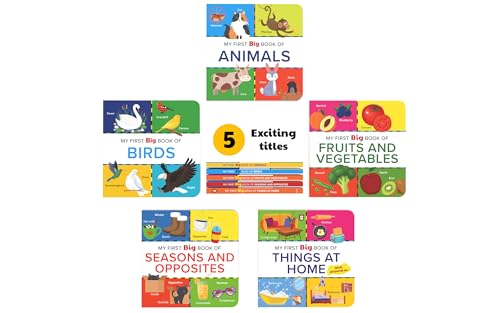 My First Big Book Boxset-Volume 2 (5 Books): A Pizza Box of 5 Large Font Illustrated Board Books on Animals, Birds, Fruits and Vegetables, Seasons, Opposites and Things at Home | Vocabulary Builder for Preschool Kids, Toddlers I Perfect Gift Set I Ages 1+ - Retail Maharaj