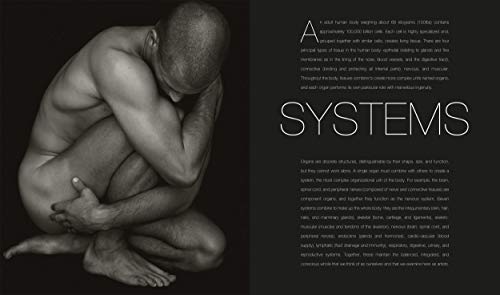 Anatomy for the Artist - Retail Maharaj