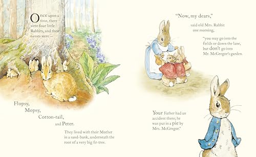 Peter Rabbit: Book and Toy Gift Set: The perfect present for babies and toddlers - Retail Maharaj