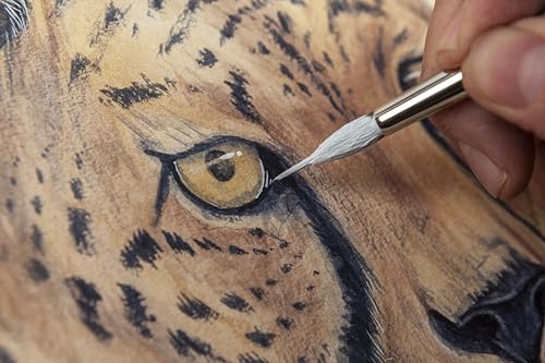 Watercolour Animals for the Absolute Beginner (ABSOLUTE BEGINNER ART) - Retail Maharaj