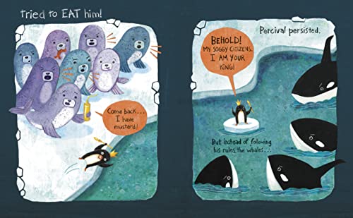 The King Penguin - Retail Maharaj