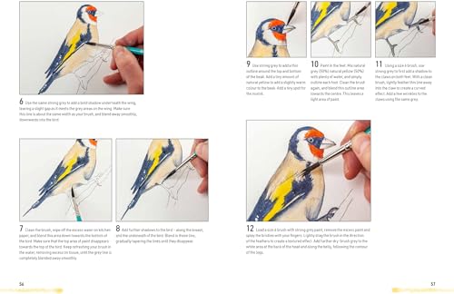 Watercolour Animals for the Absolute Beginner (ABSOLUTE BEGINNER ART) - Retail Maharaj