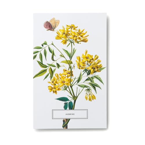 New York Botanical Garden: In Full Bloom Postcards: 100 Postcards from the Archives of the New York Botanical Garden - Retail Maharaj