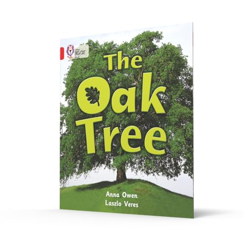 The Oak Tree: Band 02b/Red B (Collins Big Cat) - Retail Maharaj