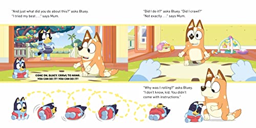 Bluey: Baby Race - Retail Maharaj