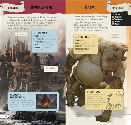 Dungeons & Dragons Pocket Expert - Retail Maharaj