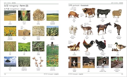 Korean English Bilingual Visual Dictionary - Retail Maharaj