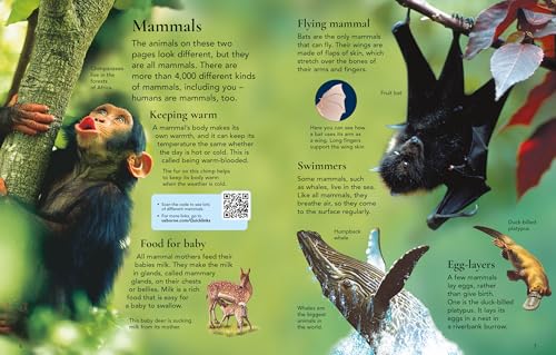 First Encyclopedia of Animals - Retail Maharaj