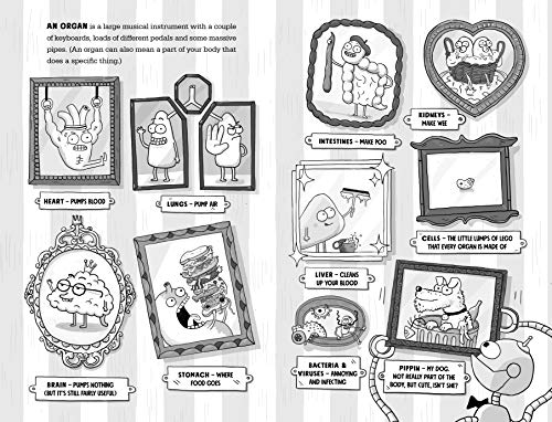 Kay's Anatomy: A Complete (and Completely Disgusting) Guide to the Human Body - Retail Maharaj