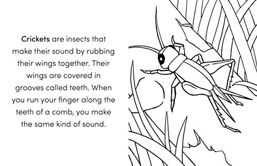 Bug Book for Kids: Coloring Fun and Awesome Facts - Retail Maharaj