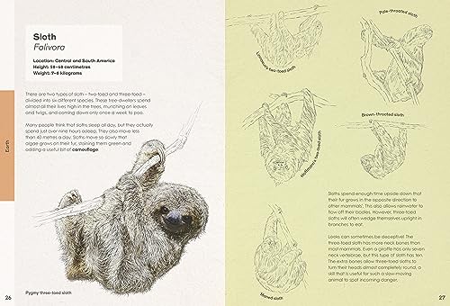 Ben Rothery's Weird and Wonderful Animals - Retail Maharaj