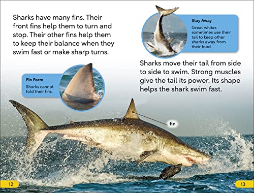 DK Super Readers Level 2 Great White Sharks - Retail Maharaj