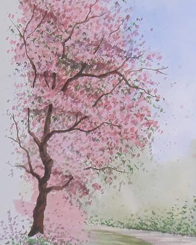 The Watercolour Companion - Retail Maharaj