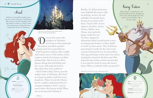 Disney Princess Enchanted Character Guide - Retail Maharaj
