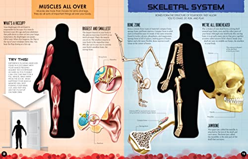 Inside Out Human Body - Retail Maharaj