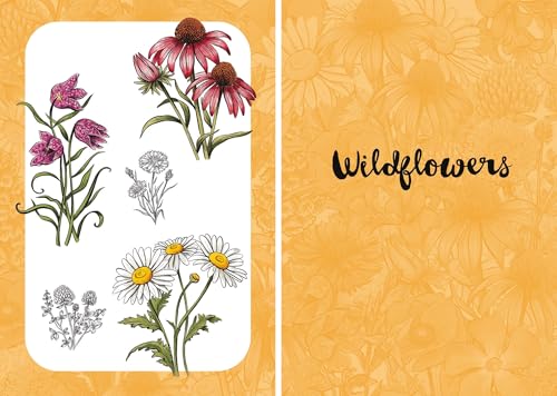Botanicals: Draw over 50 Plants in 10 Easy Steps (10 Step Drawing) - Retail Maharaj