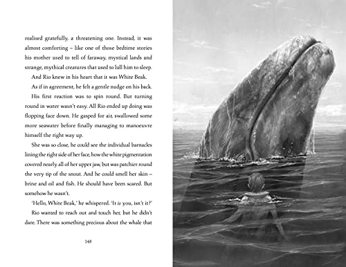 The Lost Whale - Retail Maharaj