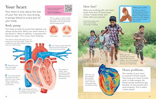 First Encyclopedia of the Human Body - Retail Maharaj