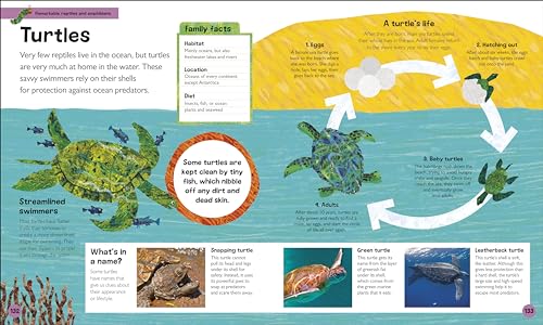 The Very Hungry Caterpillar's Very First Animal Encyclopedia: An Introduction to Animals, For VERY Hungry Young Minds - Retail Maharaj