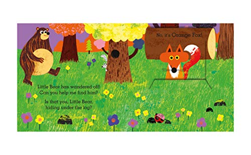 Is that you, Little Bear?: A pull-and-slide flap book - Retail Maharaj