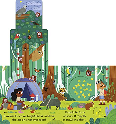 Little World: Jungle Journey: A push-and-pull adventure - Retail Maharaj