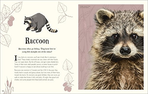 An Anthology of Intriguing Animals - Retail Maharaj