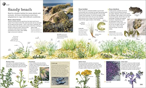 Chris Packham's Nature Handbook: Explore the Wonders of the Natural World - Retail Maharaj