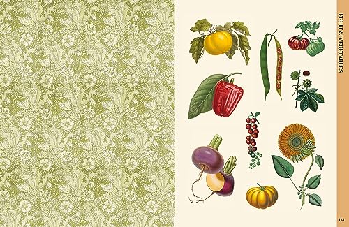 BOTANICAL ART TO CUT OUT & COLLAGE: Over 500 Botanical Illustrations to Inspire Creativity - Retail Maharaj