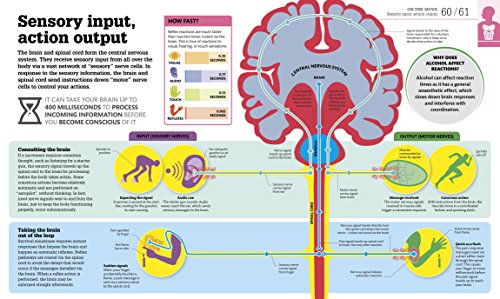 How the Body Works: The Facts Simply Explained - Retail Maharaj