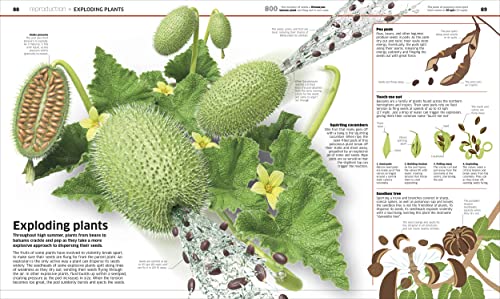 Knowledge Encyclopedia Plants and Fungi!: Our Growing World as You've Never Seen It Before - Retail Maharaj