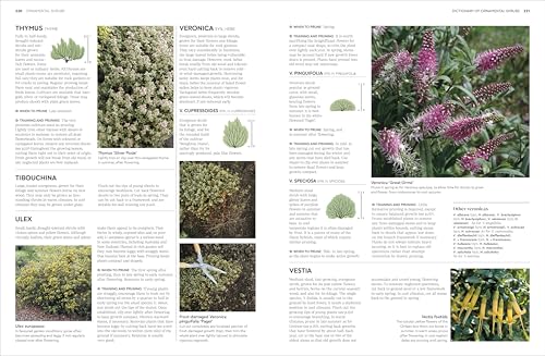 RHS Pruning and Training: What, When, and How to Prune Over 800 Plants - Retail Maharaj